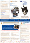 Ashford Garden Cattery Tri-Fold Sponsor Leaflet
